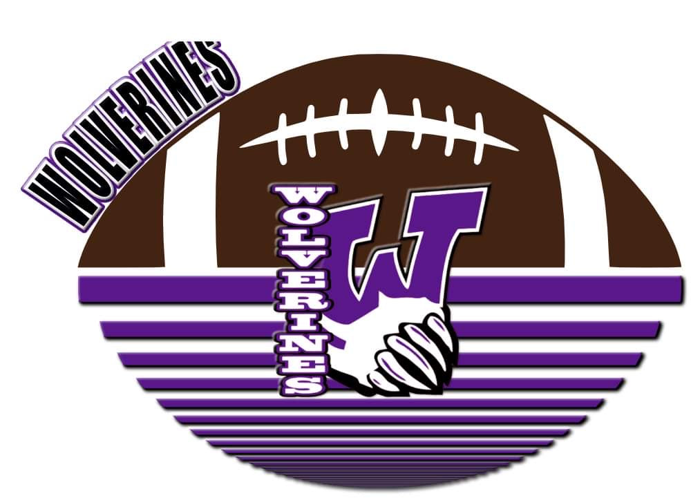 Ball Sports Shirt (Custom)