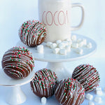 Cocoa Bomb Mold