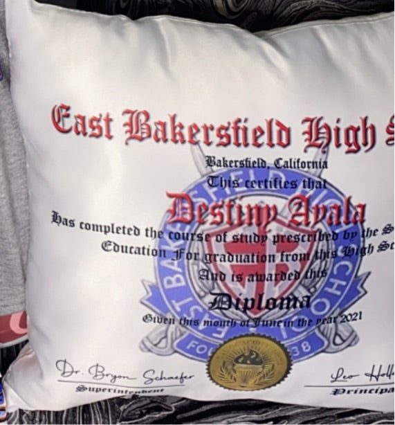 Diploma Pillow